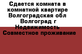 Сдается комната в 2-комнатной квартире - Волгоградская обл., Волгоград г. Недвижимость » Совместное проживание   . Волгоградская обл.